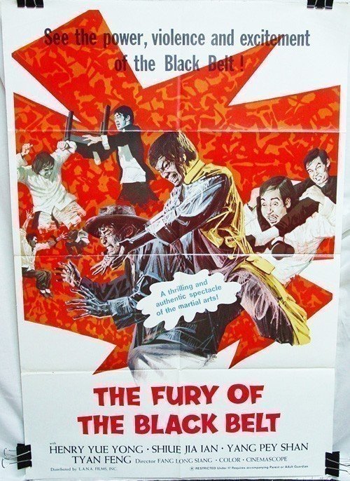 Fury of the Black Belt (1973)