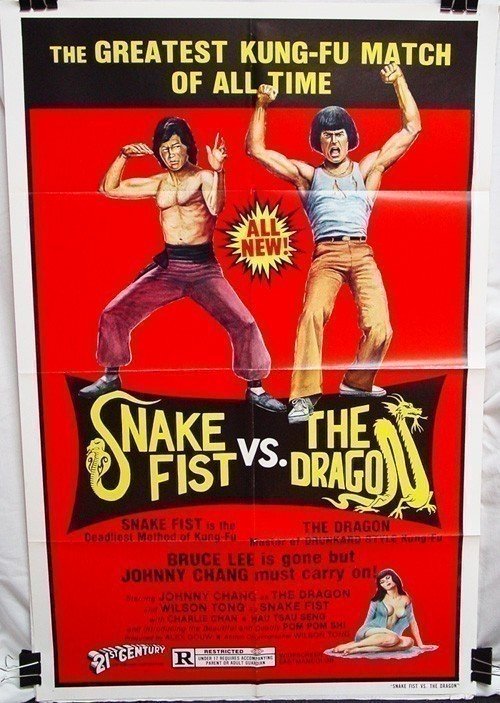 Snake Fist vs The Dragon (1980)