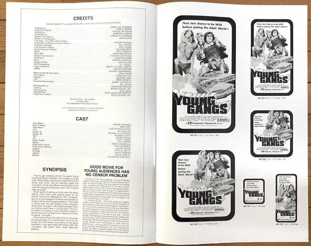 Young Gangs (1978)